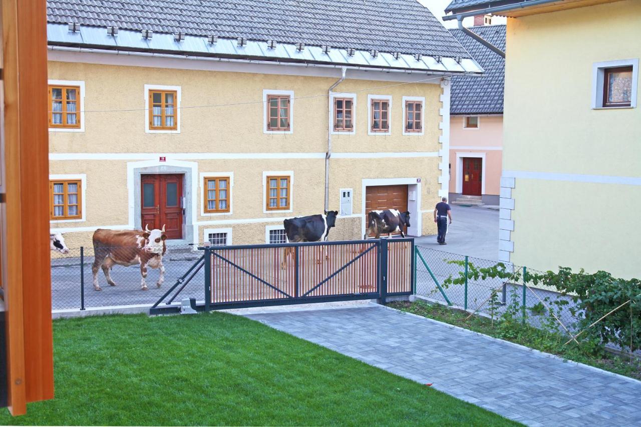 Apartment Jurijana - New 4-Bedroom Triplex With Sauna & Garden ボーヒニ エクステリア 写真